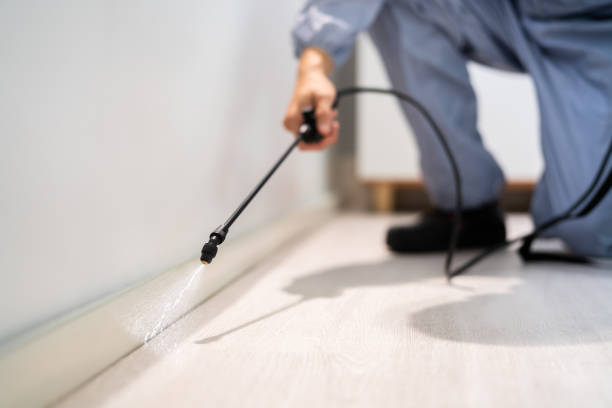 Licensed Ant Control service in Forest, OH - Show Me Pest Control