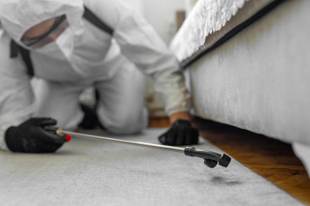 Professional Ant Control technician working in Forest, OH
