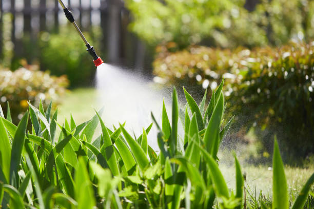 24/7 Emergency Ant Control experts in Forest, OH