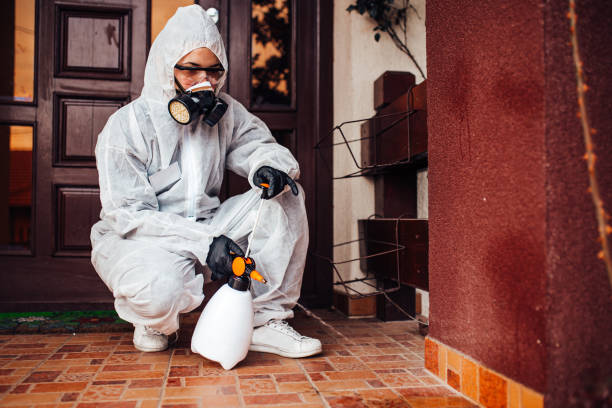 Reliable Ant Control contractor in Forest, OH by Show Me Pest Control