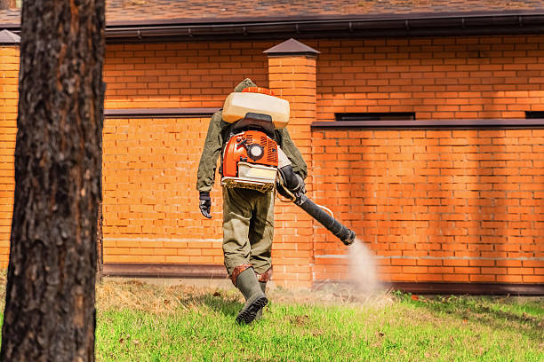 Top rated local Ant Control specialists in Forest, OH